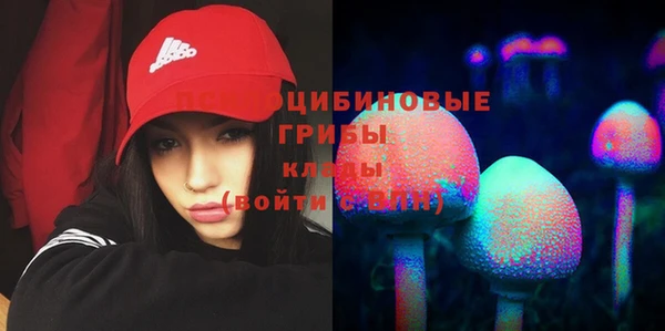 спиды Белокуриха
